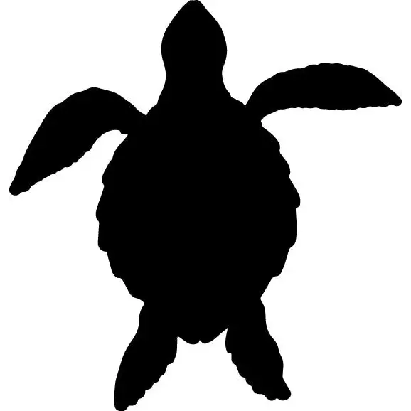 Sea Turtle Cutout - Art & Crafting Materials